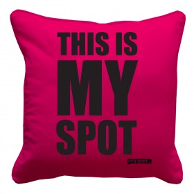 This is MY spot! Leuk kussentje